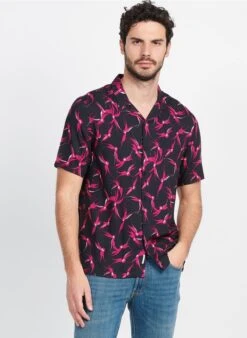 Sandro Geschaft -Sandro Geschaft 3952459