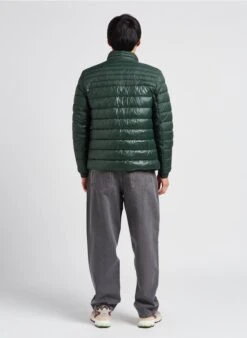 Boss Doudoune Col Montant | Vert -Sandro Geschaft 4017417
