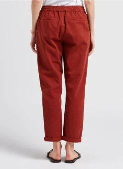 MAISON 123 NOOR - Pantalon Droit En Coton | Marron -Sandro Geschaft 4189872